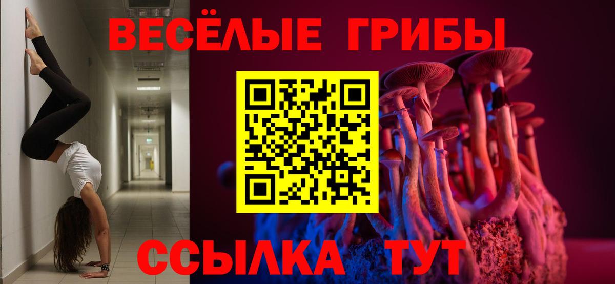 Галлюциногенные грибы мухоморы  Псилоцибиновые грибы ЛСД  хочу наркоту  Новоалтайск  Вход с VPN 