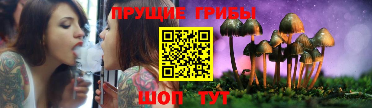 Галлюциногенные грибы Cubensis Новоалтайск